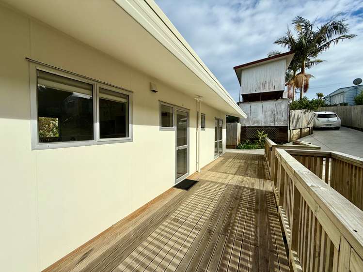 7B Rose Street Raglan_34