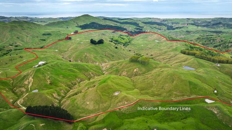 139 Clareinch Road Omakere_19