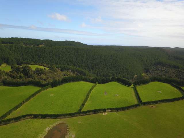 4969 Pouto Road Pouto_4