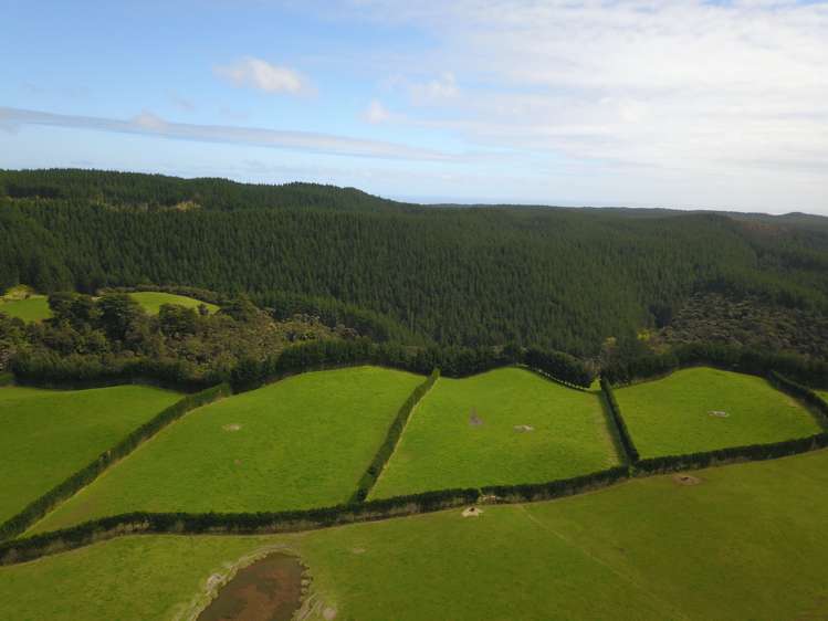 4969 Pouto Road Pouto_4