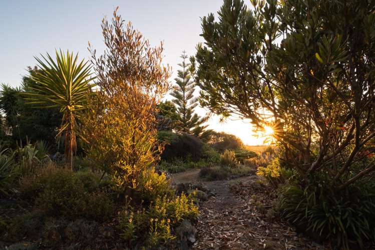 114 Rarangi Beach Road Rarangi_61