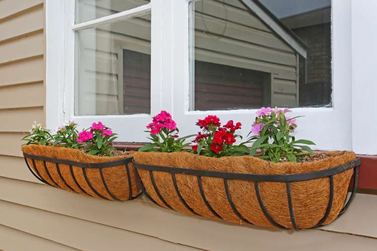 8a Warriston Avenue Waiuku_4