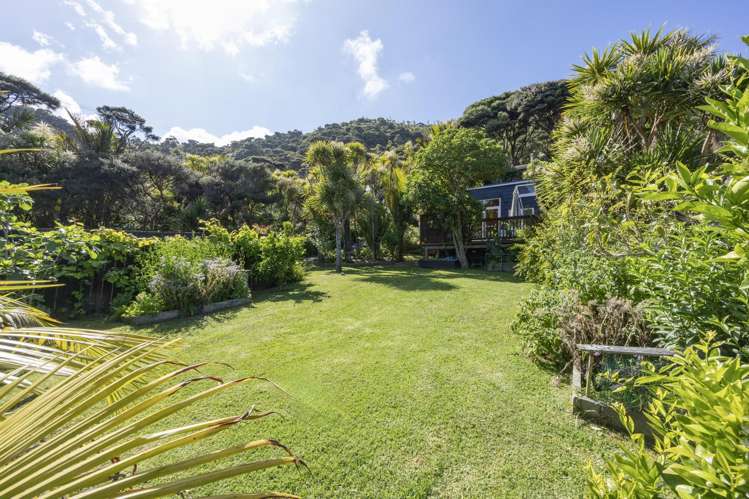 125 Seaview Road Piha_2