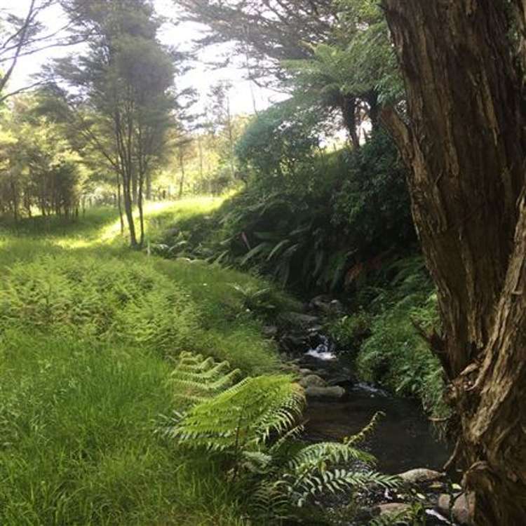 473 Kauaeranga Valley Road Thames_38