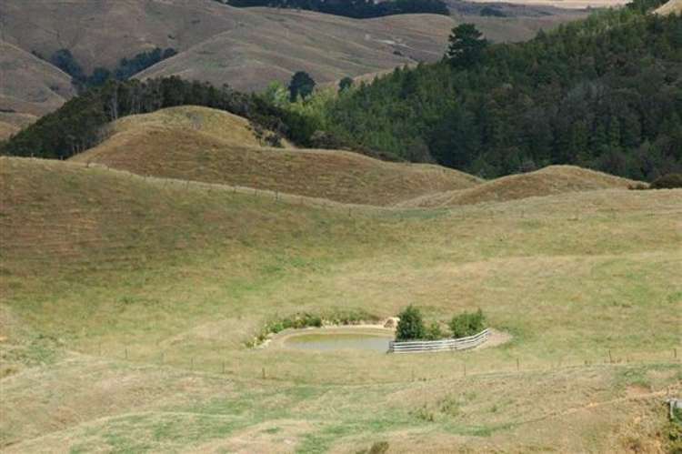 Waiti Road Tahuna_27