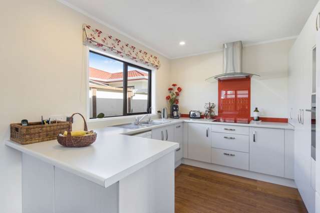 107b Hobart Street Miramar_3