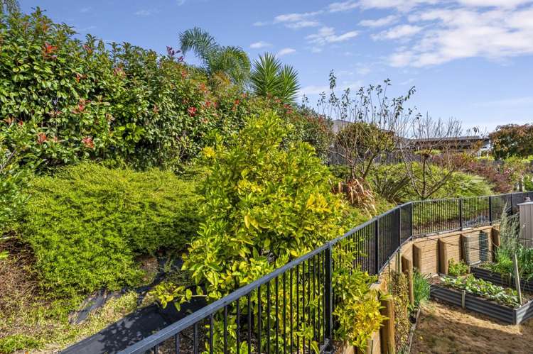 15 Shoreview Close Omokoroa_18