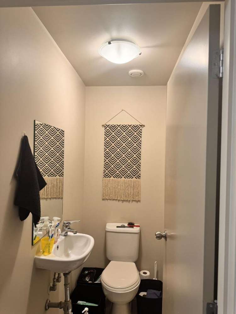 Ga/12 Morning Star Place Mount Albert_2