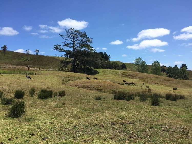 98a Corlett Road Tauhoa_11