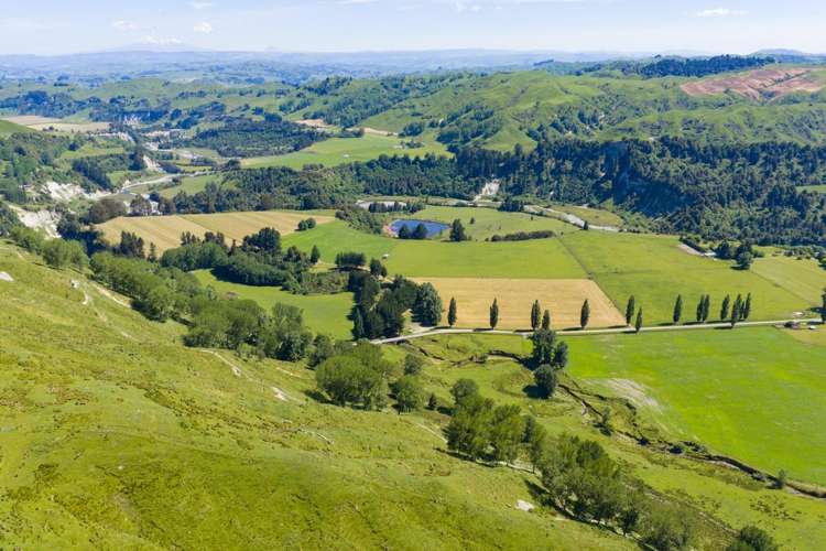 1691 Kawhatau Valley Road Mangaweka_17