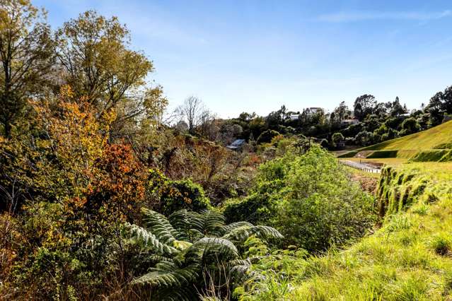 1 Huamatangi Way Vogeltown_3