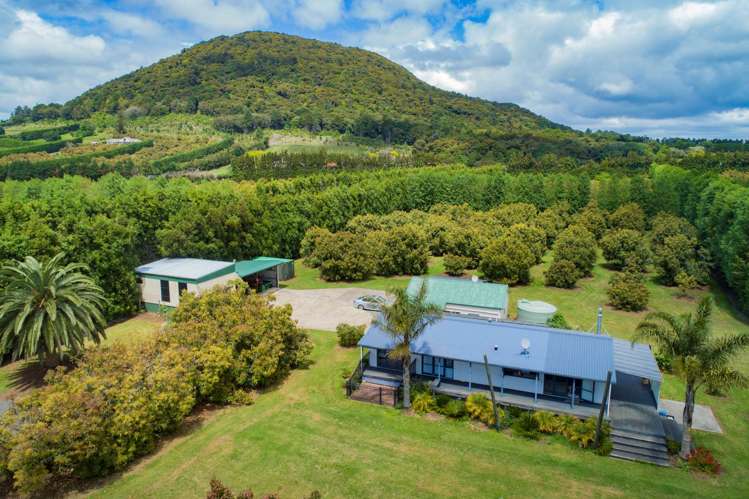 27 Watrous Downs Maungatapere_8