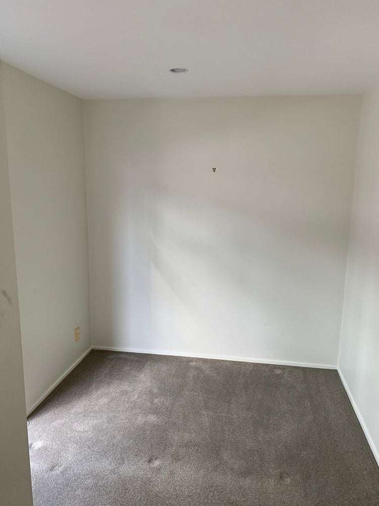 B5/15 Scanlan Street Grey Lynn_8