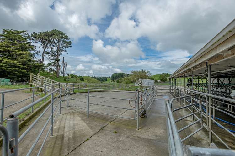 250 North Road Eketahuna_7