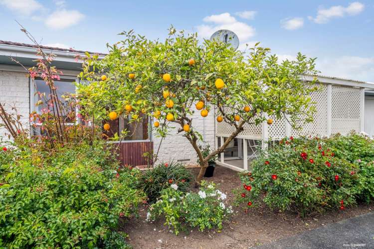 2/105 Coronation Road Papatoetoe_10