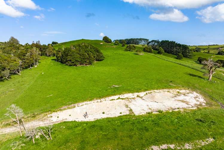 52 Gillon Road Matakohe_8