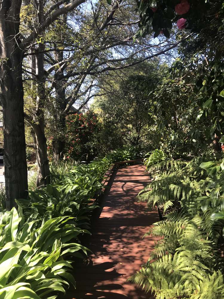 8 Amherst Place Cashmere_20