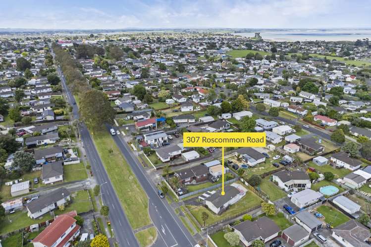 307 Roscommon Road Clendon Park_24