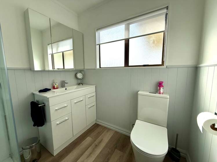 58 Bow Street Raglan_13