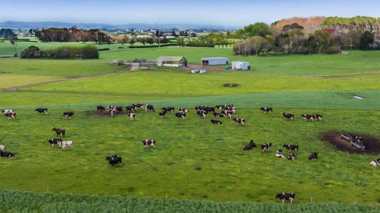 103 Wirihana Road Hawera_13