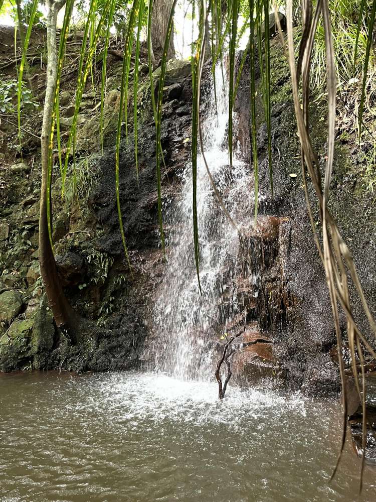 185 Te Ahu Ahu Road Waimate North_40