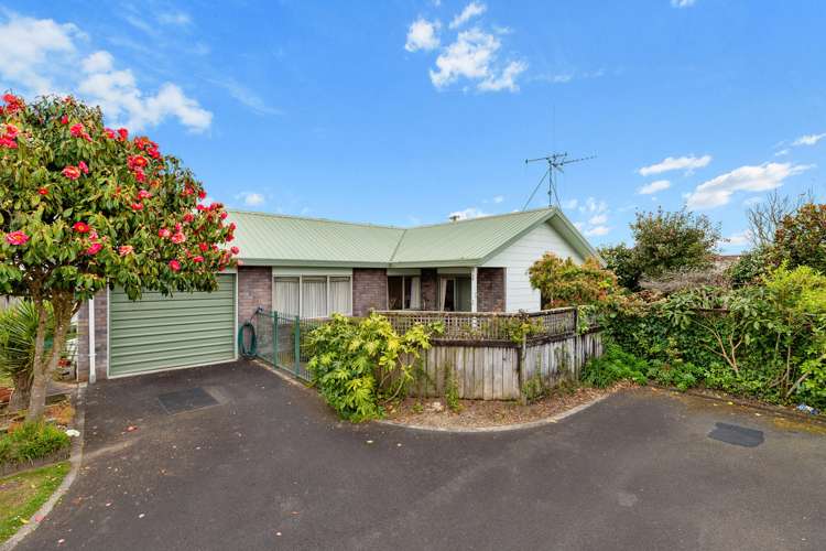 23b Normandy Avenue Melville_17