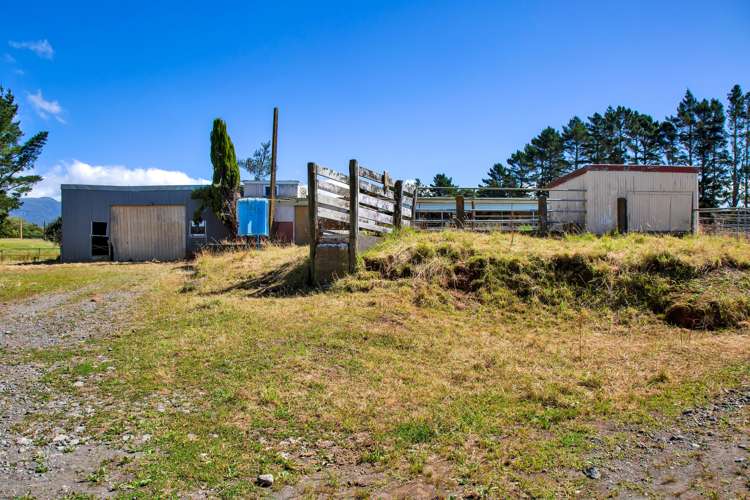 1256 Mangorei Road Mangorei_16