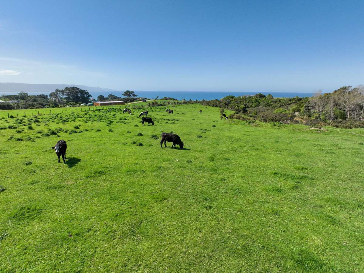 Lots 100 and 201 Waihinahina Way_3