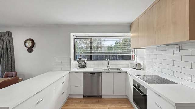 20A Chepstow Av Fendalton_1
