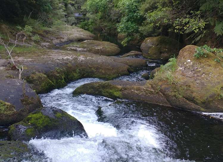 210 Wainui South Road Whakamarama_22