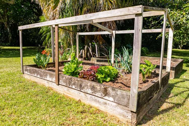 915 State Highway 14 Maungatapere_37