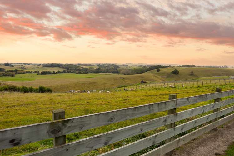 143 Ranfurly Road Feilding_26