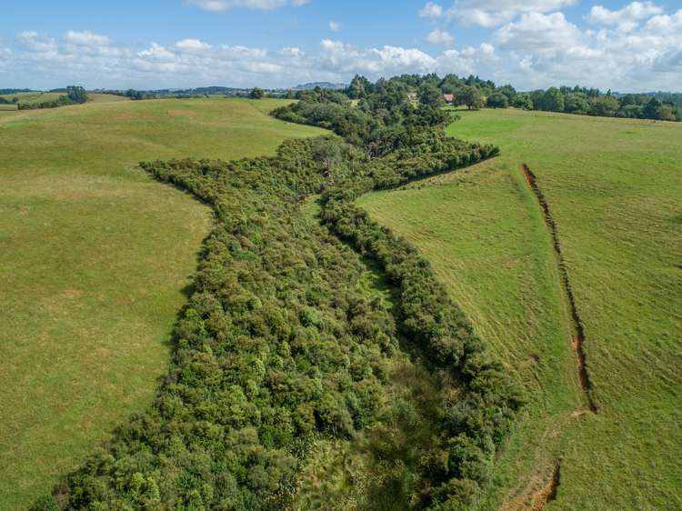 100 Burtt Road Paerata_8