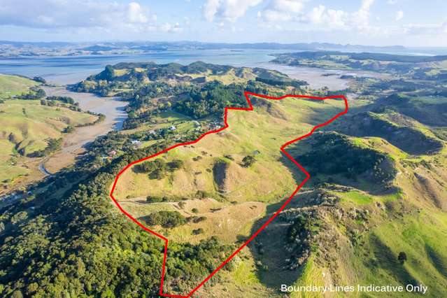 Kawhia grazing