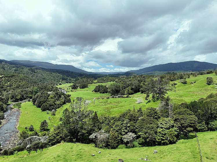 7046 State Highway 12 Waimamaku_23