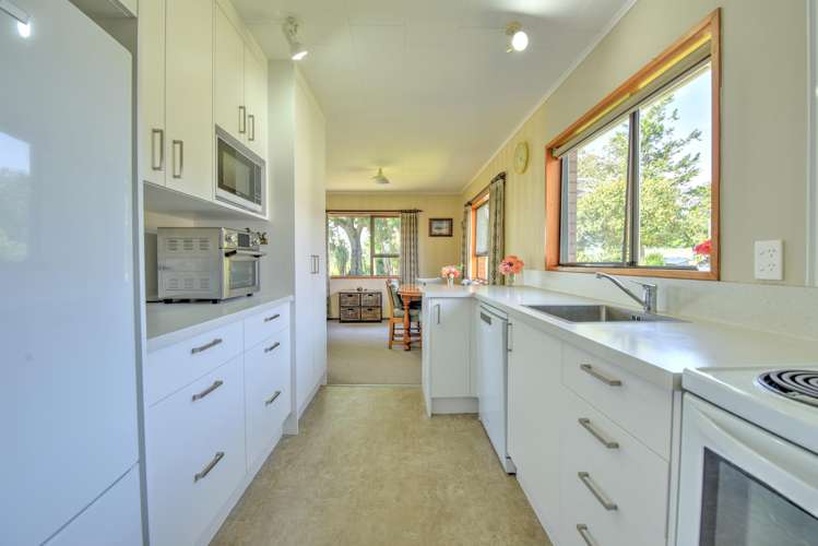 294 Sheddan Road Tapanui_11