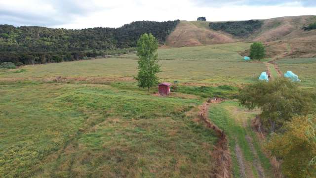 39ha Taipa Dairy Support/Grazing Block