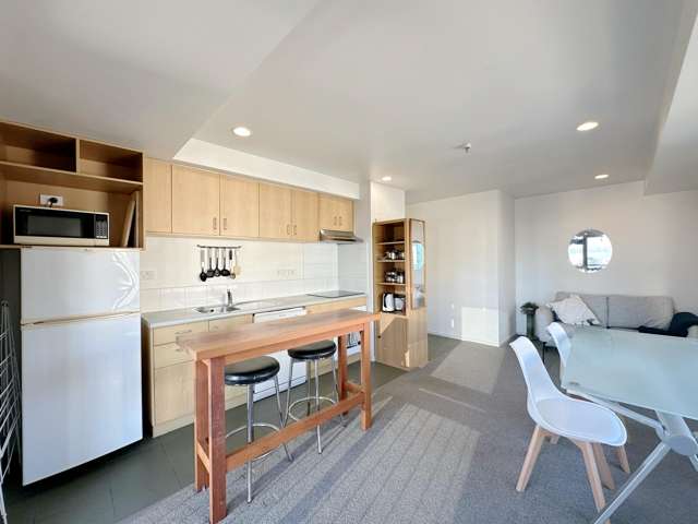 13b/2 Eden Crescent Auckland Central_1