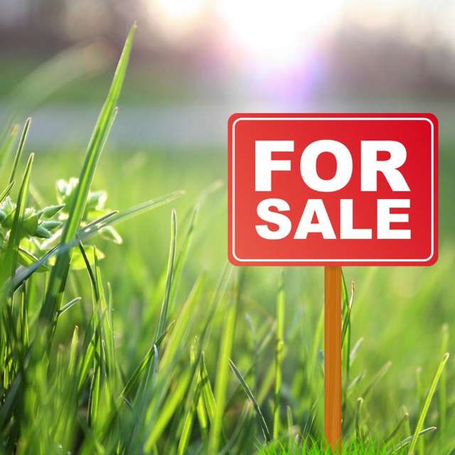 7 PIPI CRESCENT Tuakau_1