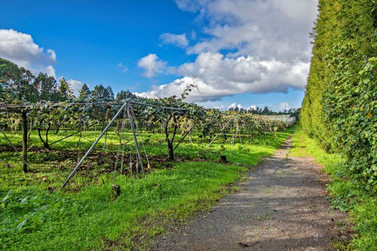 48 Austin Road Maunu_12