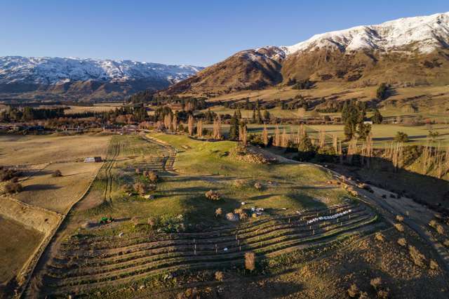 Top Paddock Wanaka_3