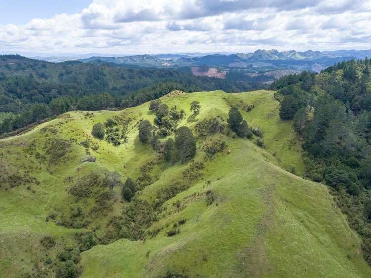 939 Kaiwhata Road Te Wharau_8