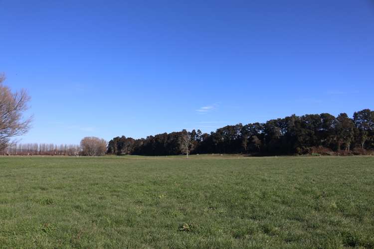 449 Kopuriki Road Murupara Surrounds_6