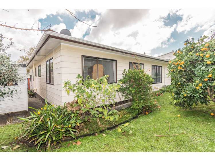 74c Seabrook Avenue New Lynn_8