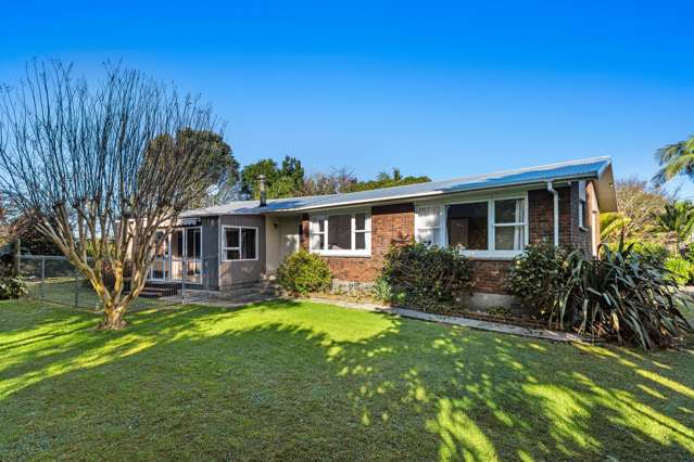 81 College Road Edgecumbe_1