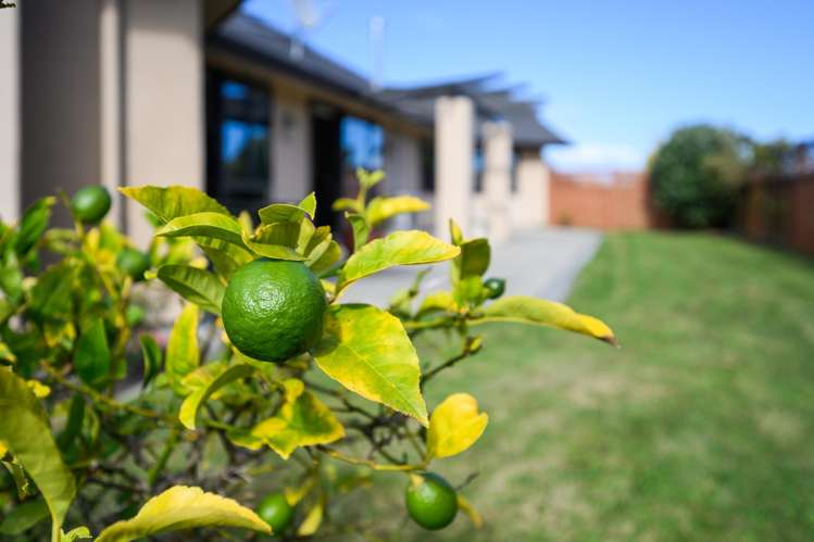 48 Clearview Drive Milson_19