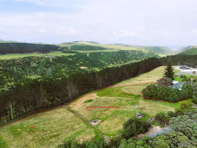 37 Kai Iwi Lakes Road Dargaville_1