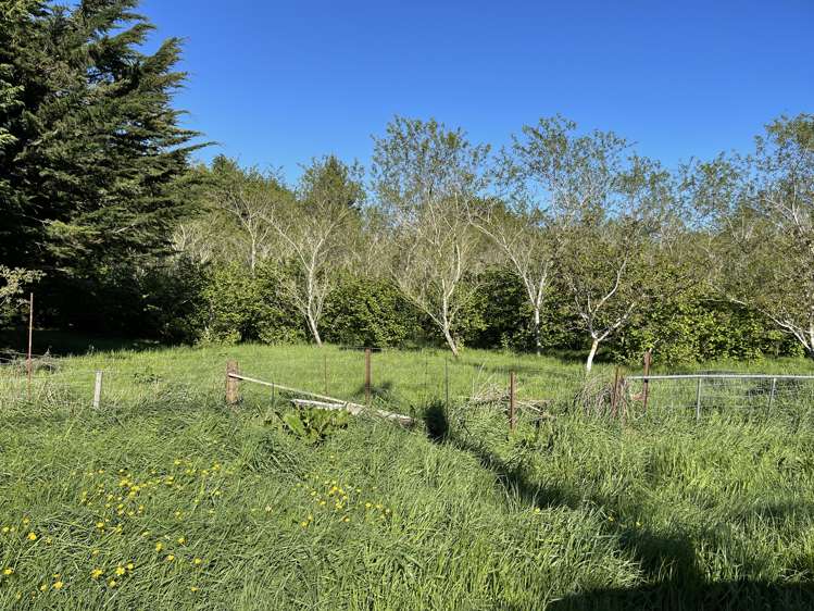 25 Newport Street Milton_10