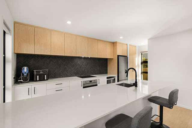 142a Neville Street Spreydon_1