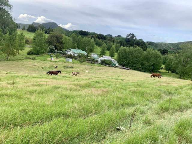 Horse/Cattle Breeding Stud, Home & Infrastructure